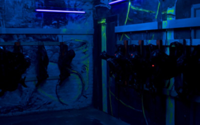 The Zone