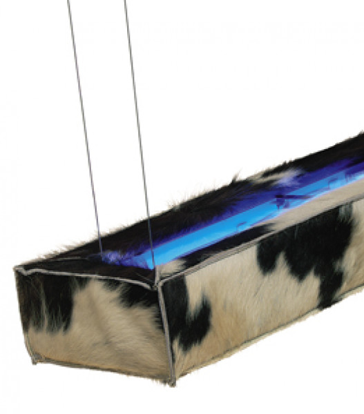d-COW detail