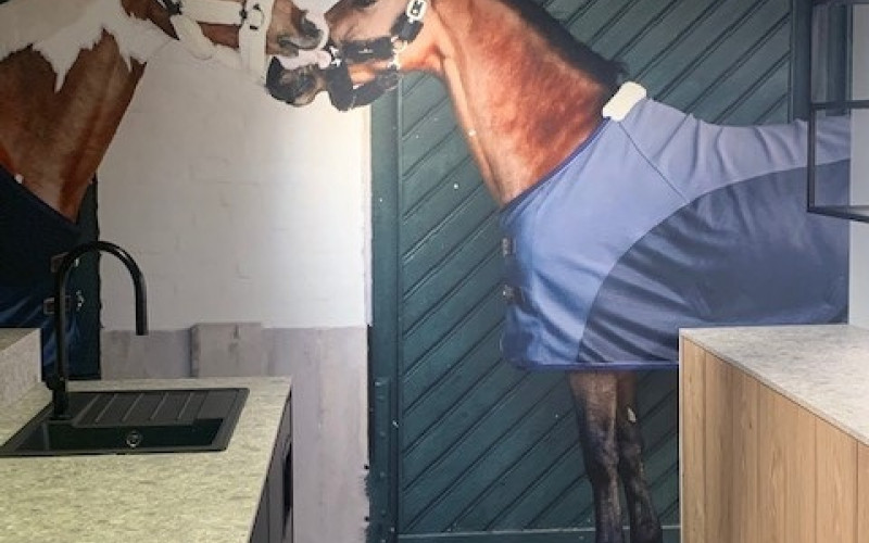 Horse Shop