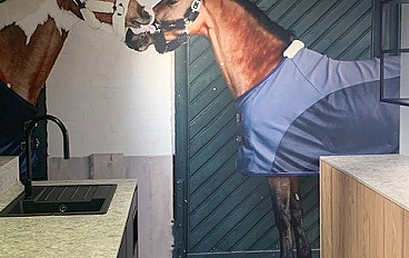Horse Shop