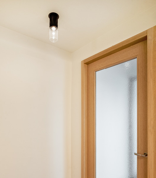 CM CEILING FIXTURE_Site2